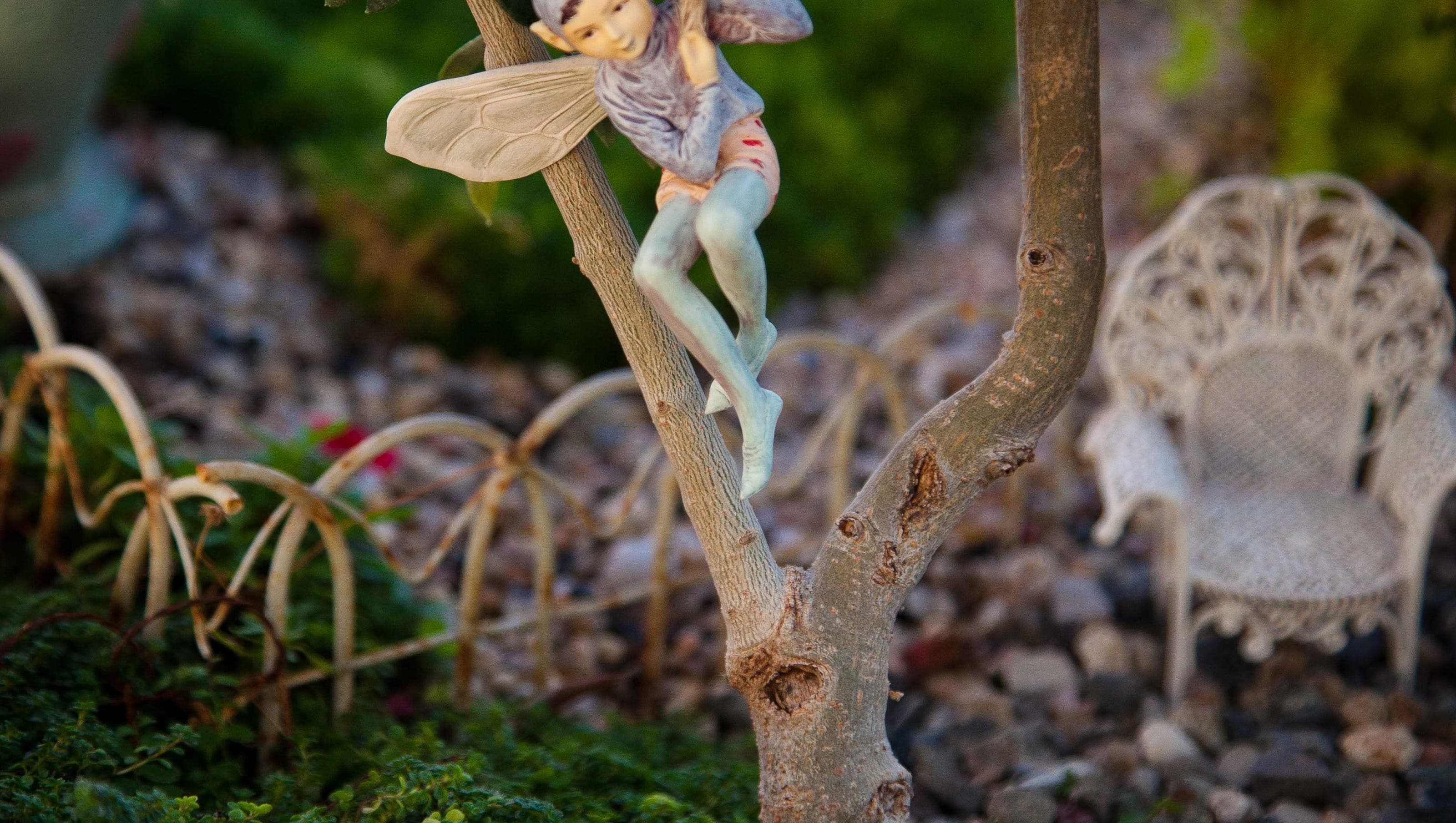 Fact Check: Are fairies real?