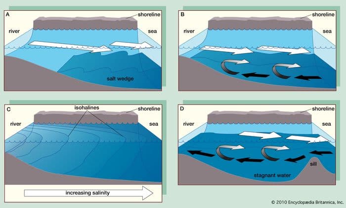 Fact Check: Are fjords salt water?