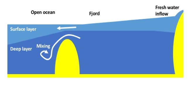 Fact Check: Are fjords tidal?