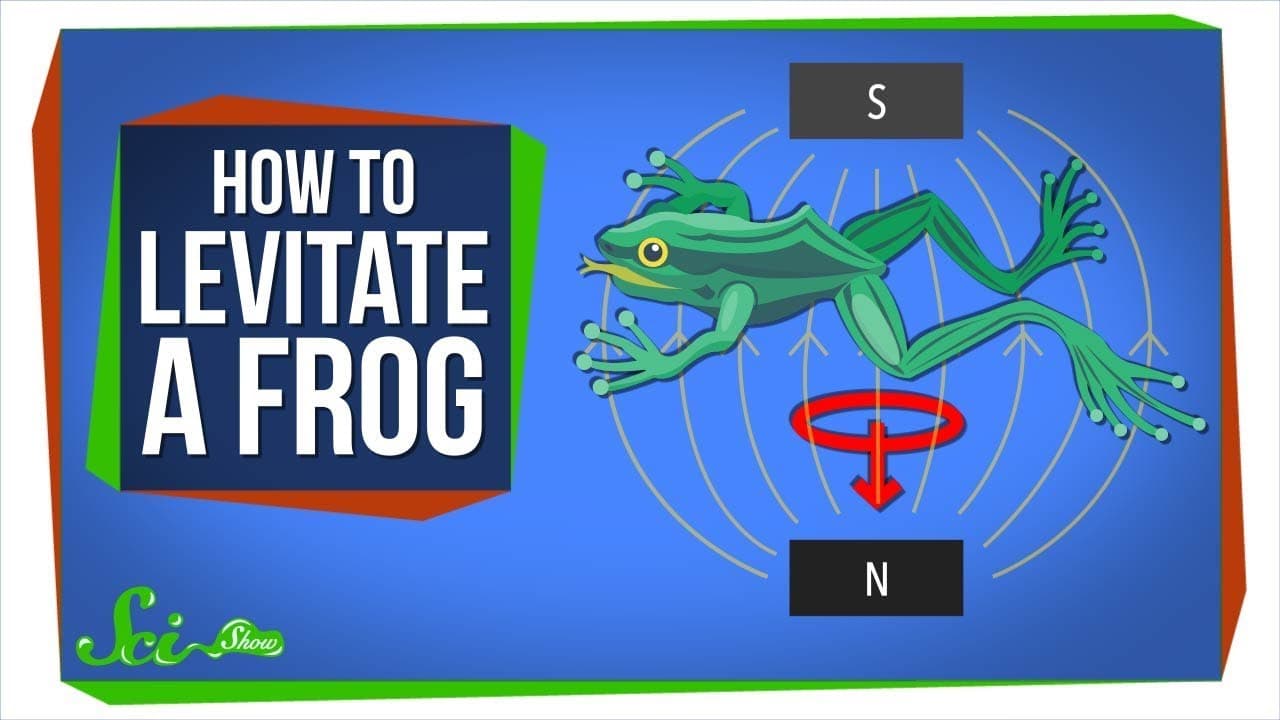 Fact Check: Are frogs magnetic?
