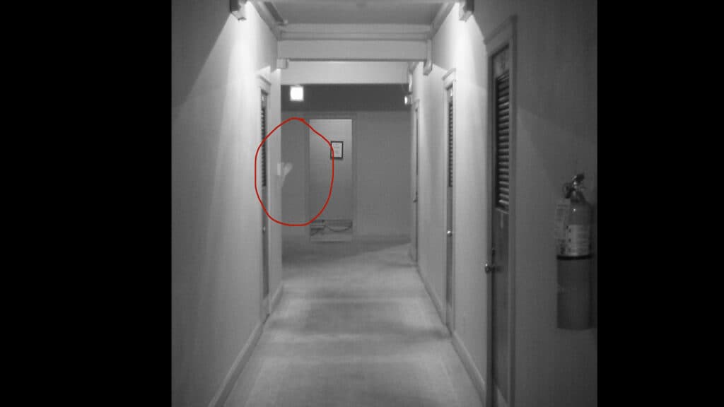 Fact Check: Are ghosts real?