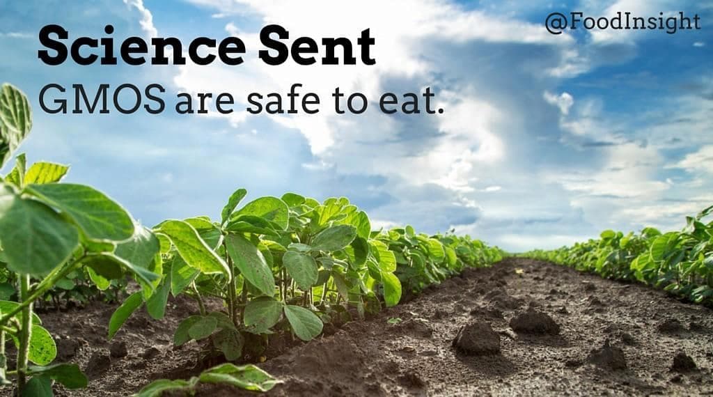 Fact Check: Are gmo foods safe?