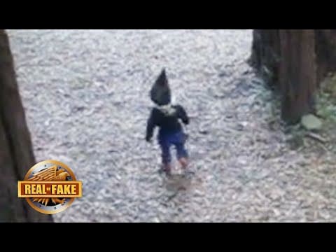 Fact Check: Are gnomes real?