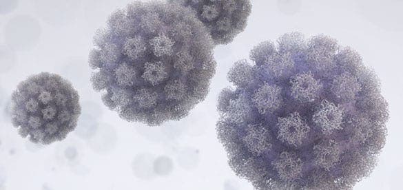 Fact Check: Are hpv warts contagious?