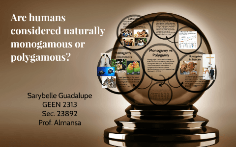 Fact Check: Are humans naturally monogamous?
