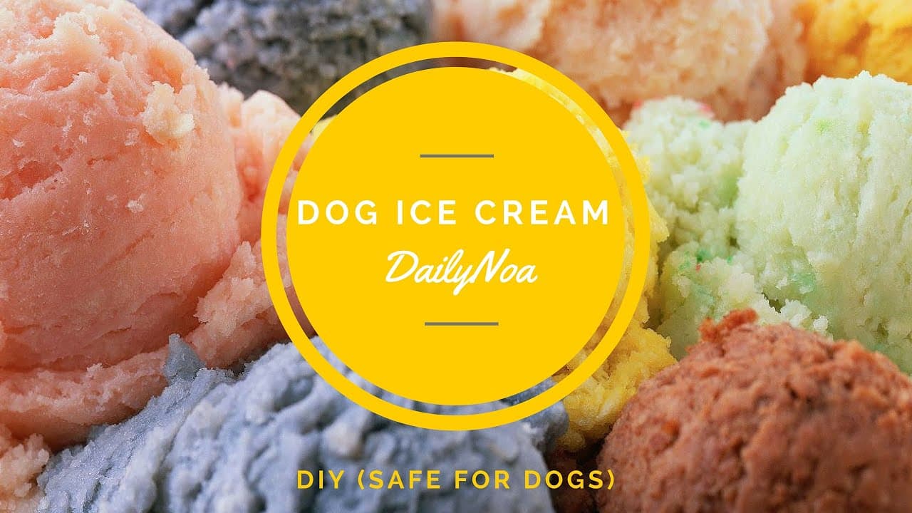 Fact Check: Are ice cream good for dogs?