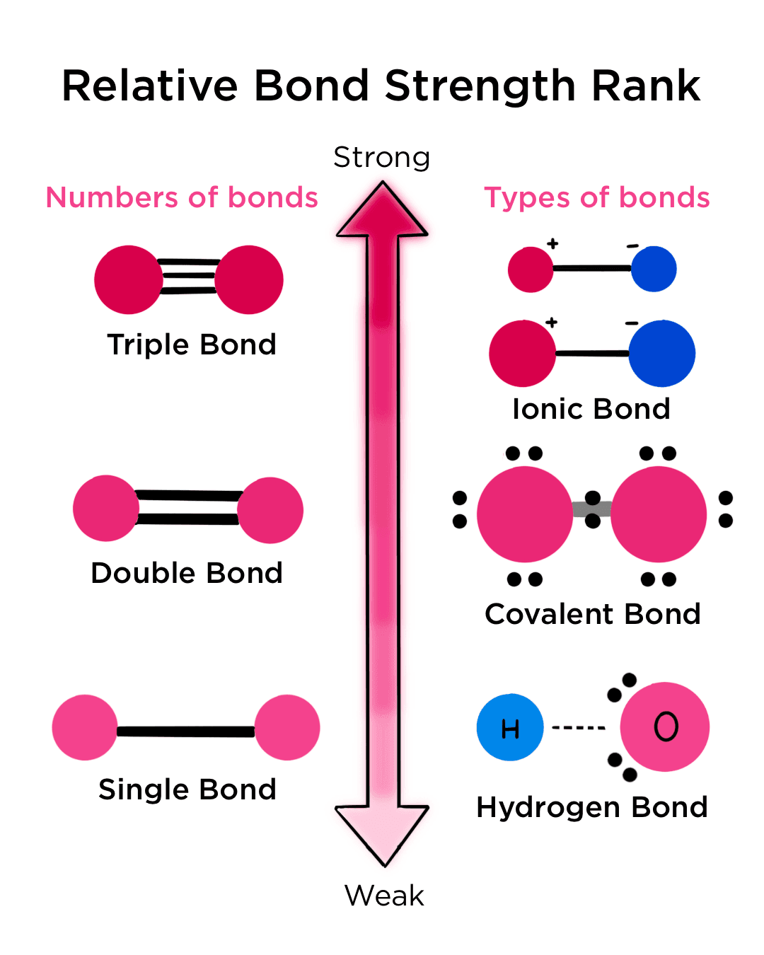 Fact Check: Are ionic bonds stronger than hydrogen bonds?