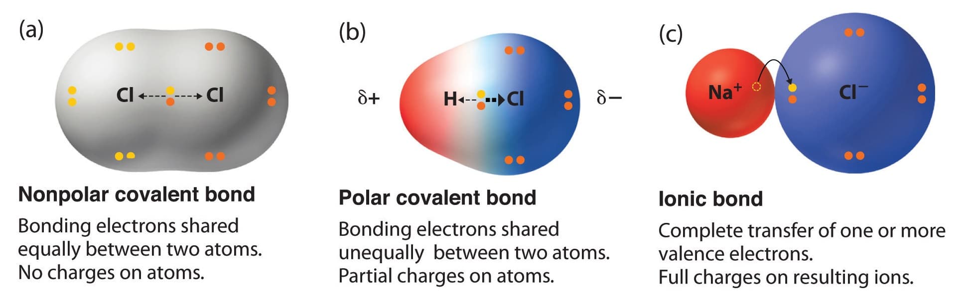 Fact Check: Are ionic compounds polar?