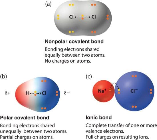 Fact Check: Are ions polar?