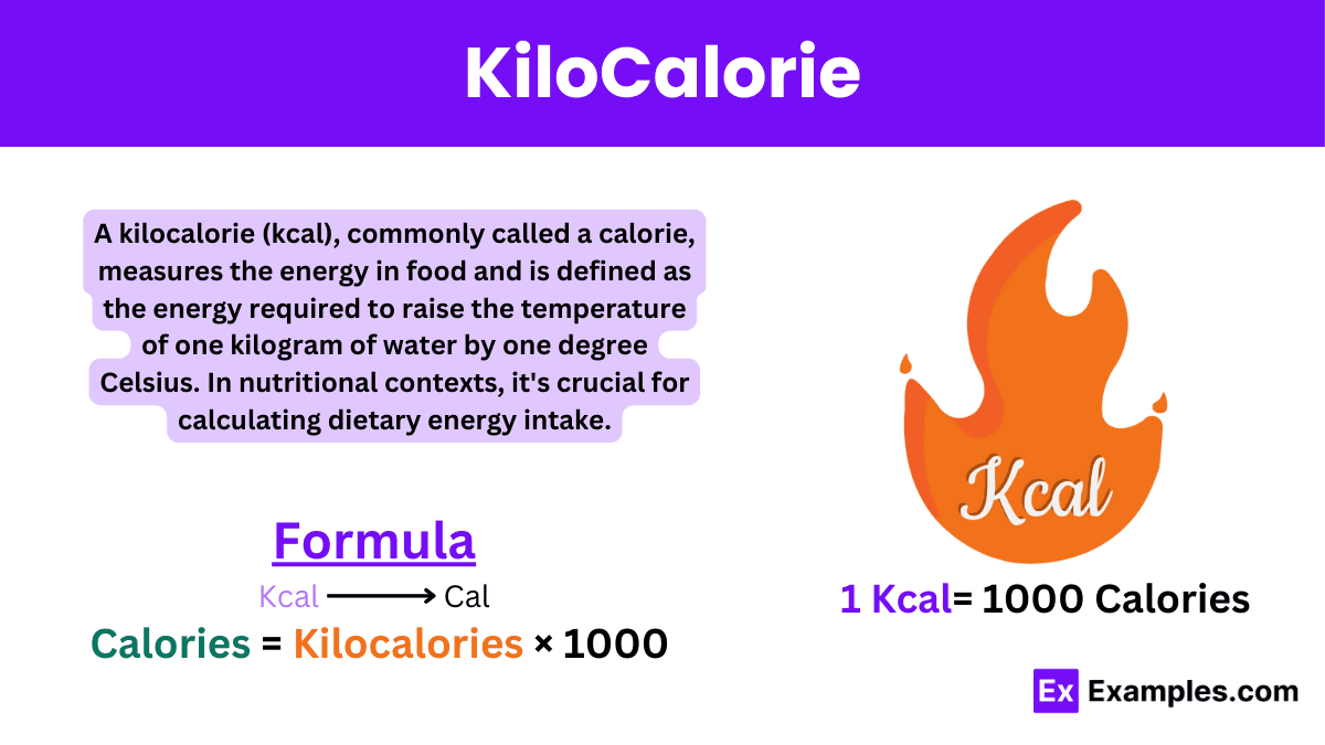 Fact Check: Are kcal calories?