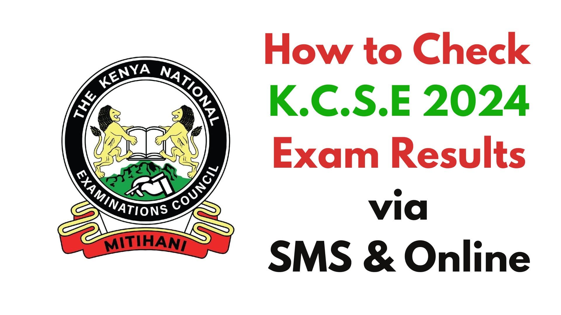 Fact Check: Are kcse 2024 results out?