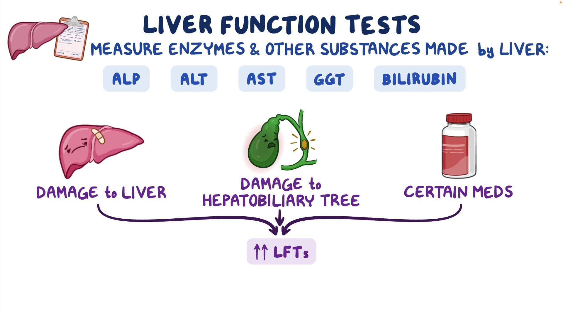 Fact Check: Are liver function tests (LFTs) included in a comprehensive metabolic panel (CMP)?