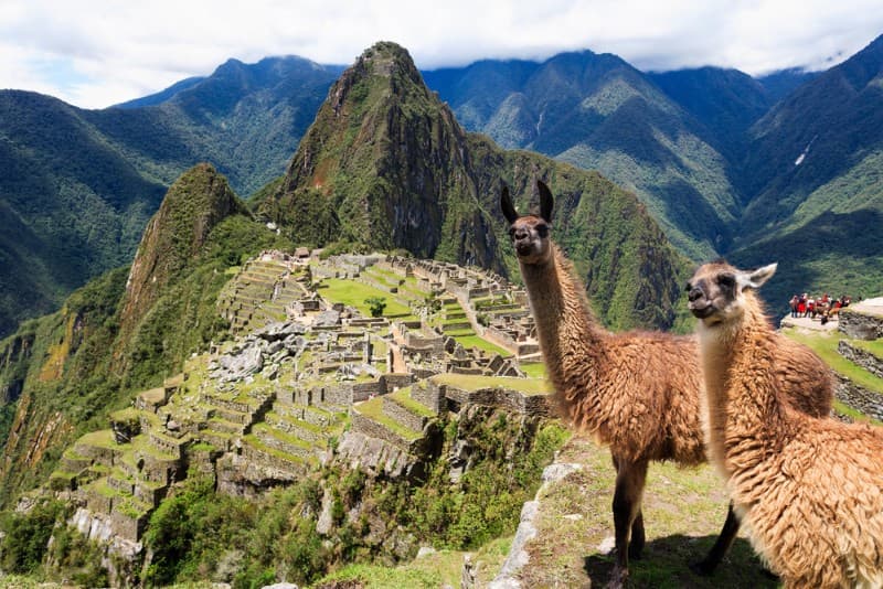 Fact Check: Are llamas in Mexico?
