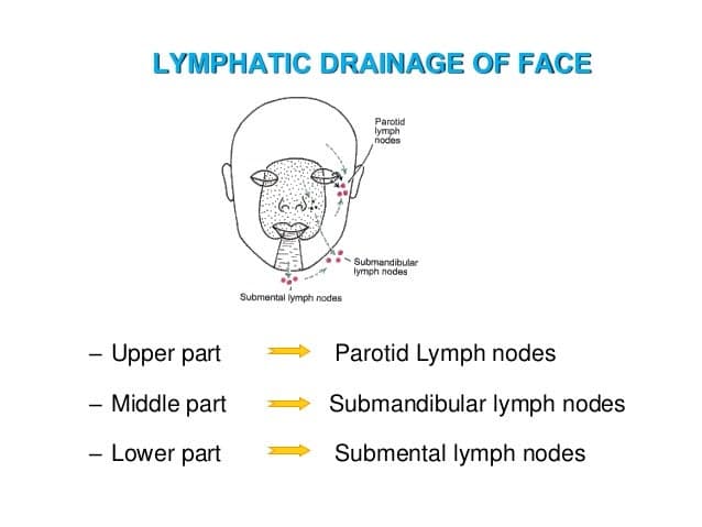 Fact Check: Are lymph nodes hard?
