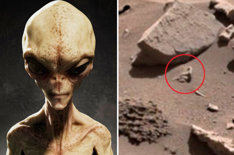 Fact Check: Aliens are real