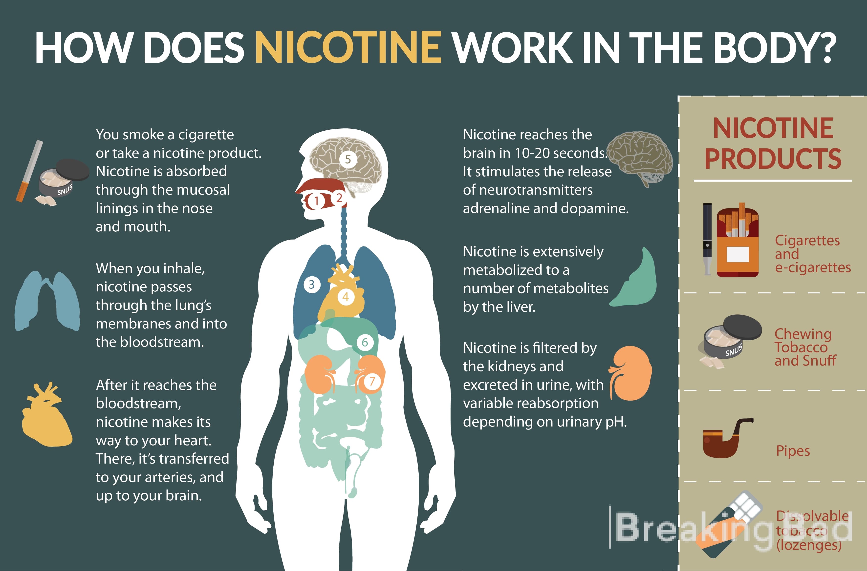 Fact Check: Are nicotine patches bad for you?