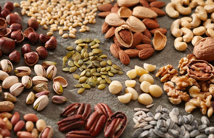 Fact Check: Are nuts seeds?