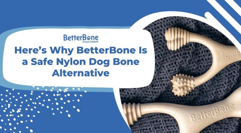 Fact Check: Are nylon bones safe for dogs?