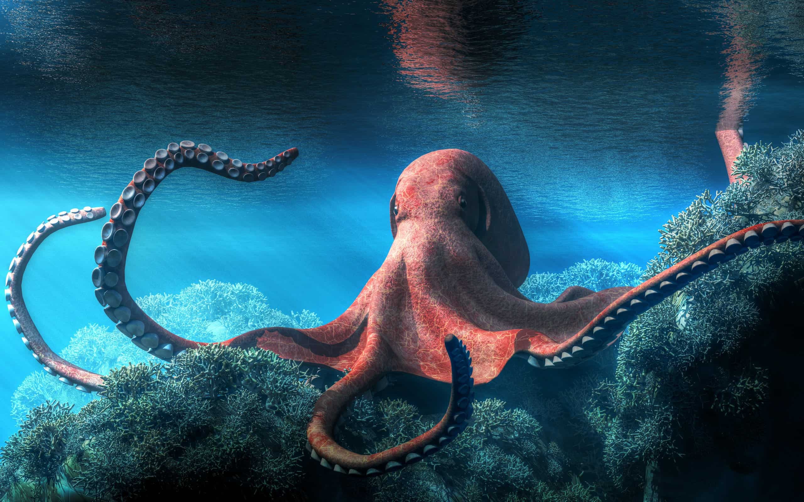 Fact Check: Are octopuses smart?