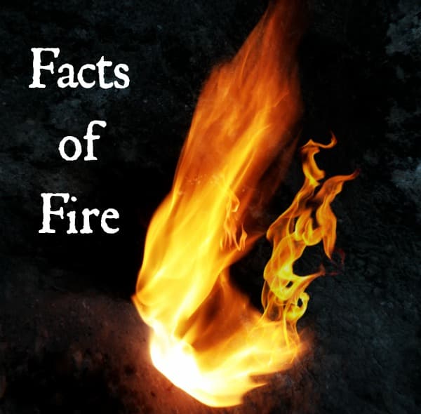 Fact Check: Are on fire?