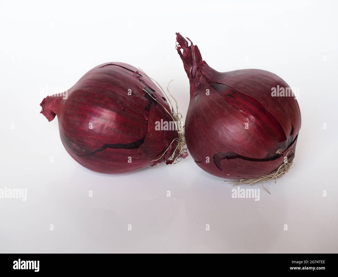 Fact Check: Are onions vegetables?