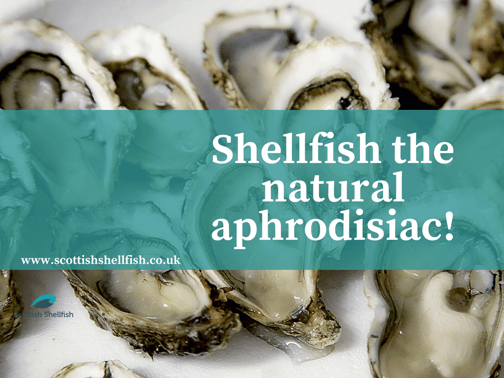 Fact Check: Are oysters aphrodisiacs?