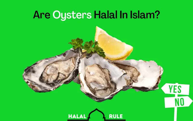 Fact Check: Are oysters halal?