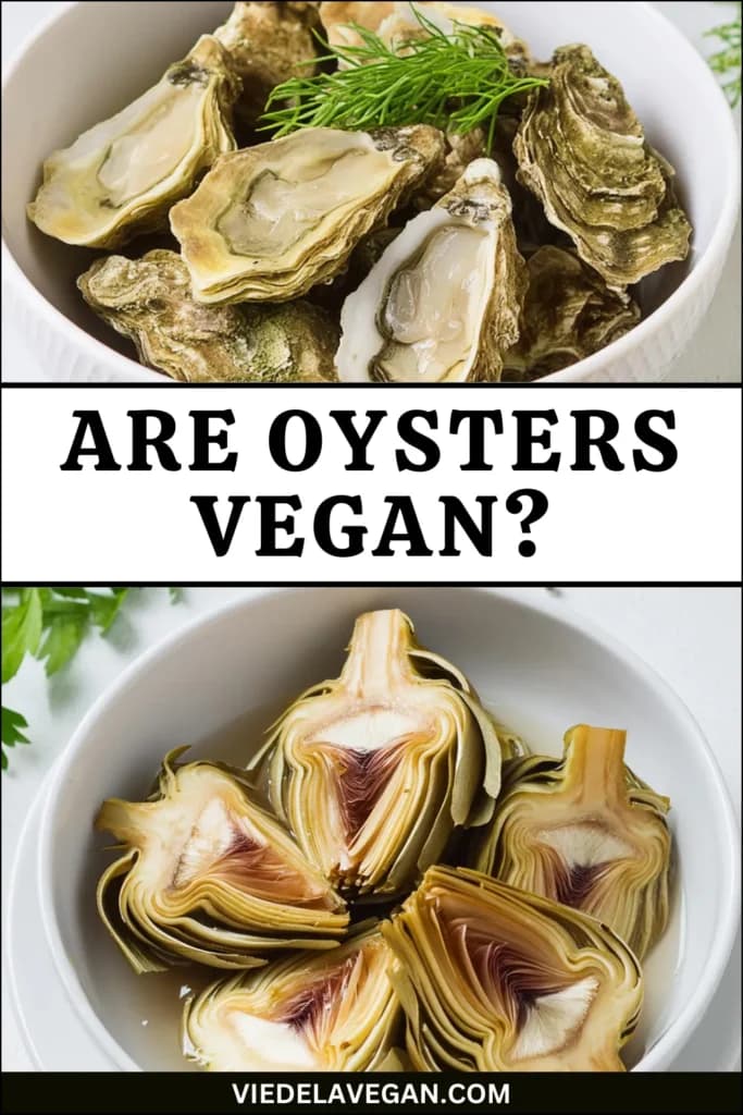 Fact Check: Are oysters vegan?
