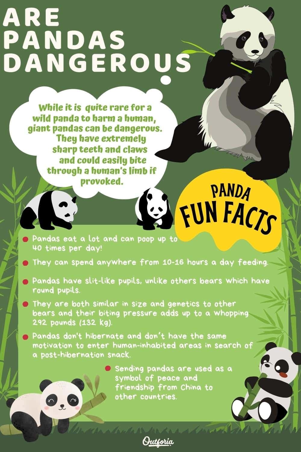 Fact Check: Are pandas dangerous?