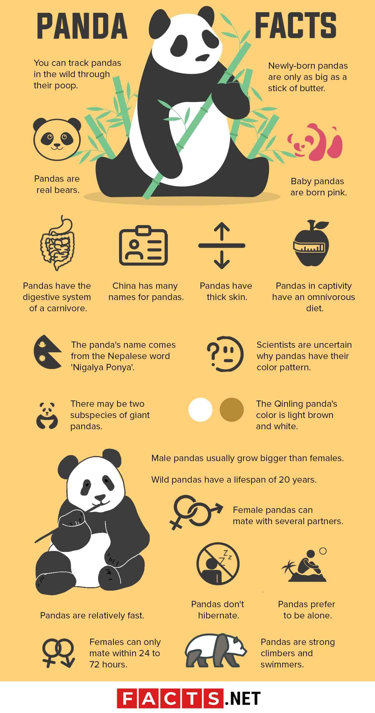 Fact Check: Are pandas friendly?