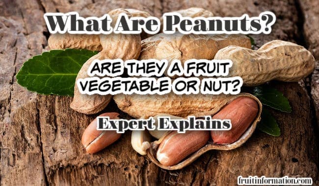 Fact Check: Are peanuts nuts?