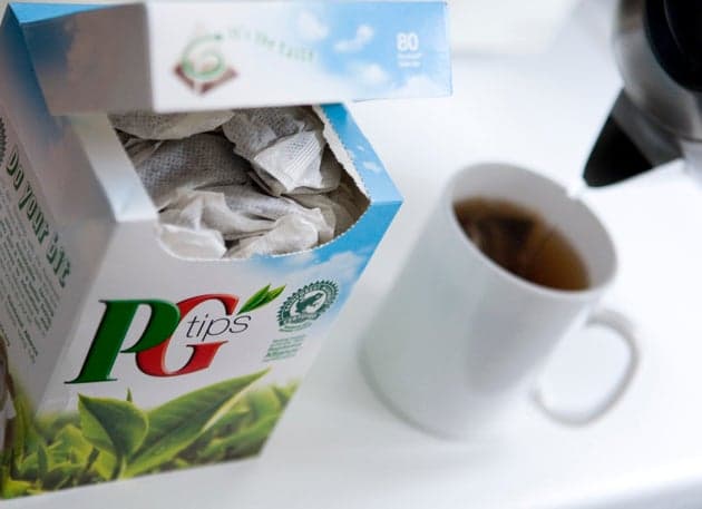 Fact Check: Are pg tips tea bags plastic free?