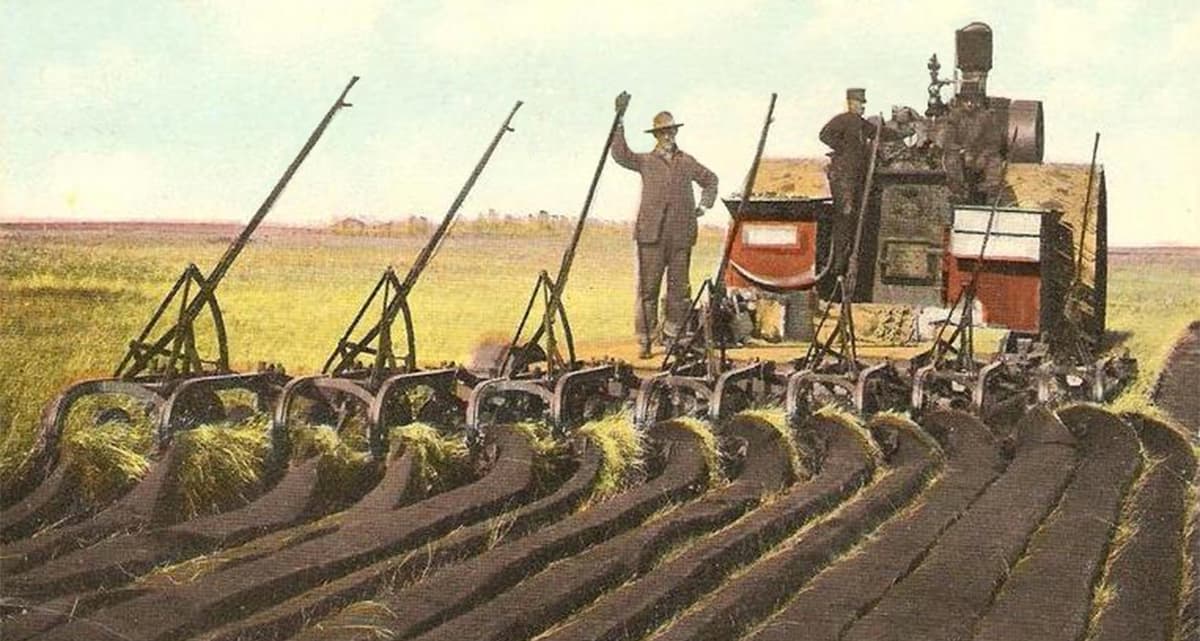 Fact Check: Are ploughs and fallow land still used today?