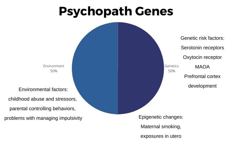 Fact Check: Are psychopaths born or made?