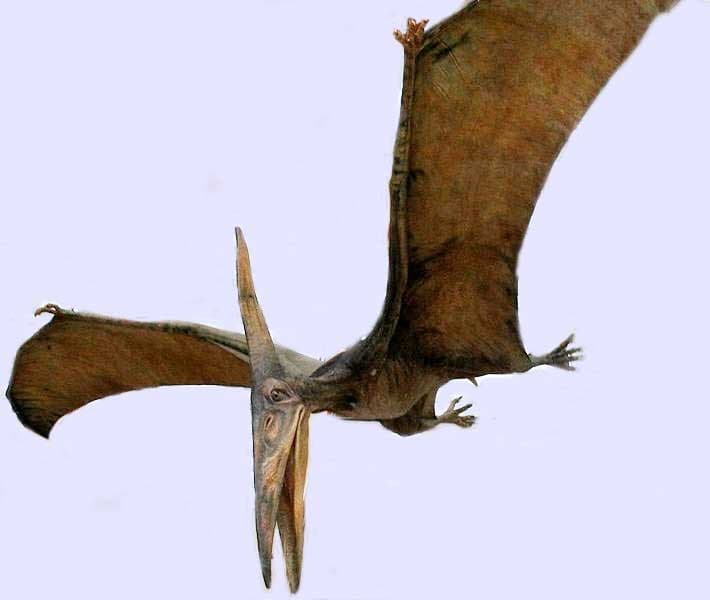 Fact Check: Are pteranodons dinosaurs?
