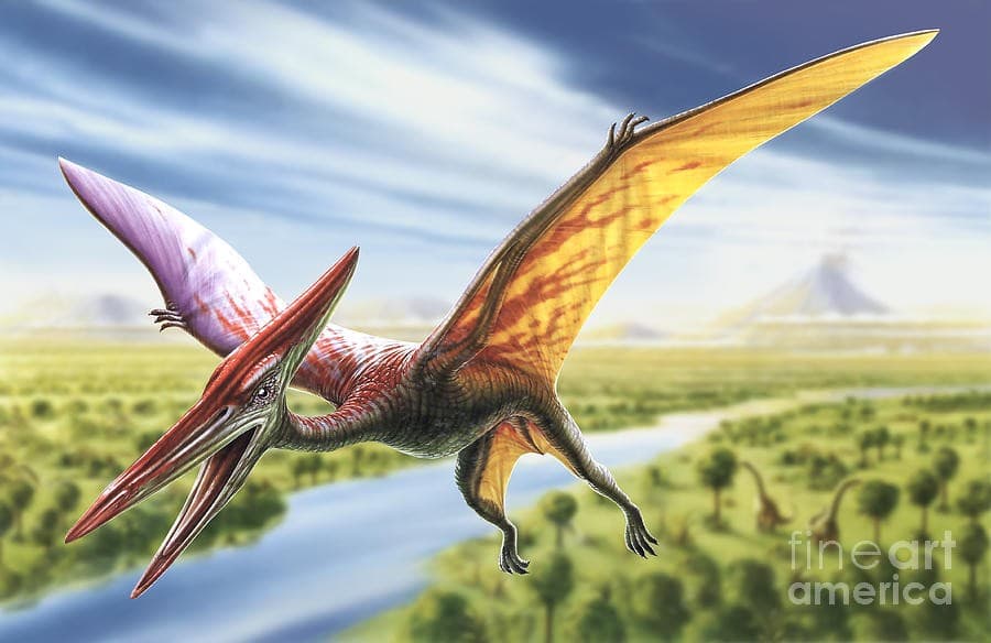 Fact Check: Are pterodactyls dinosaurs?