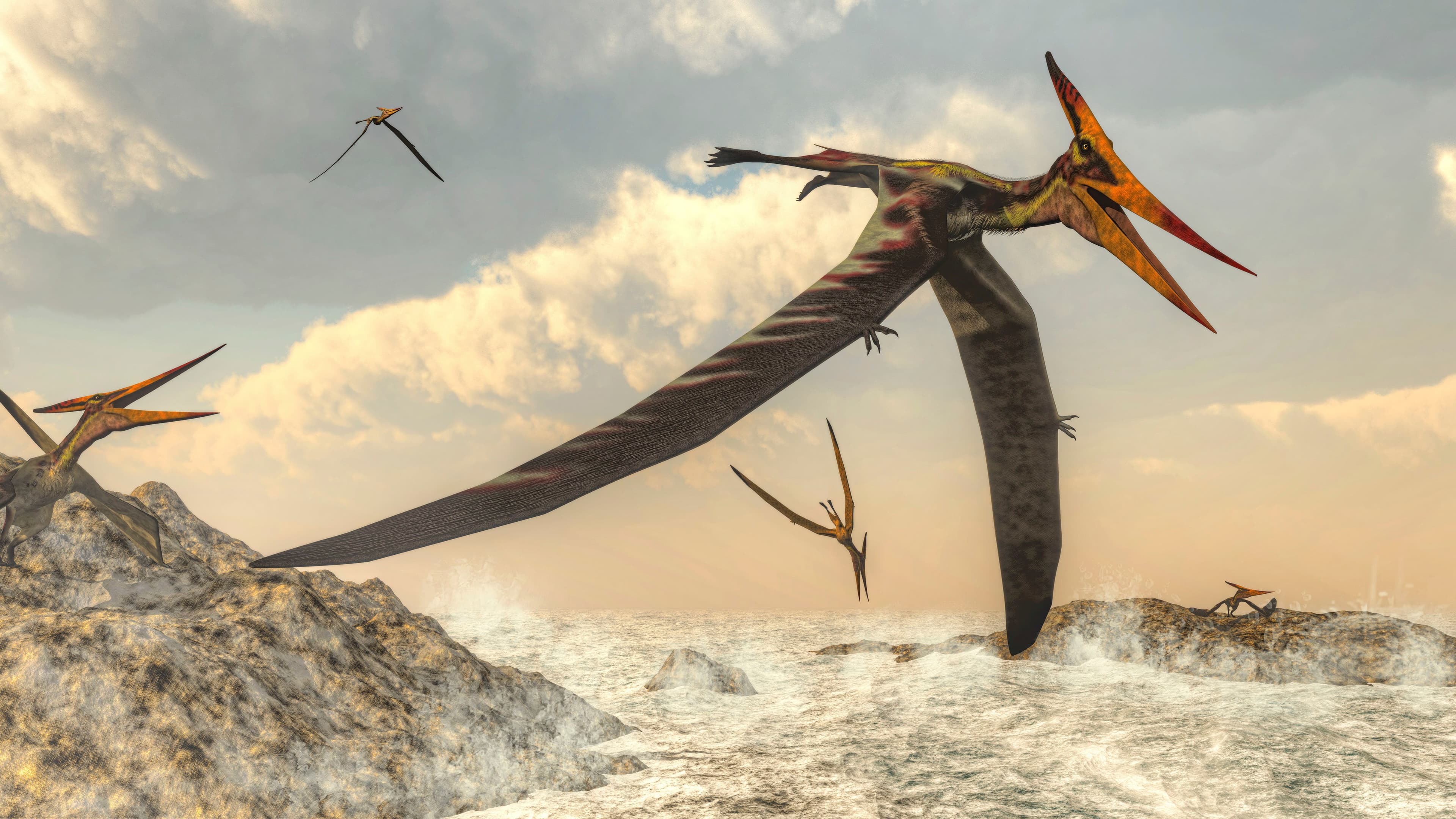 Fact Check: Are pterodactyls real?