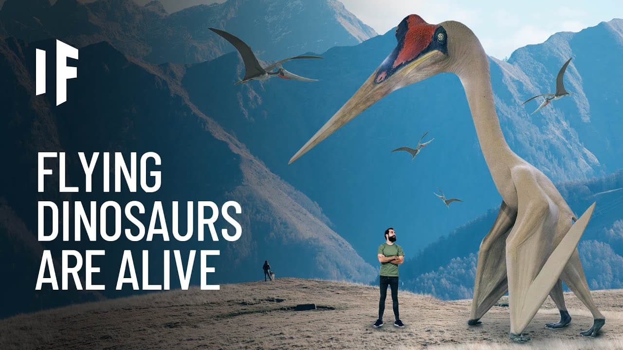 Fact Check: Are pterodactyls still alive?