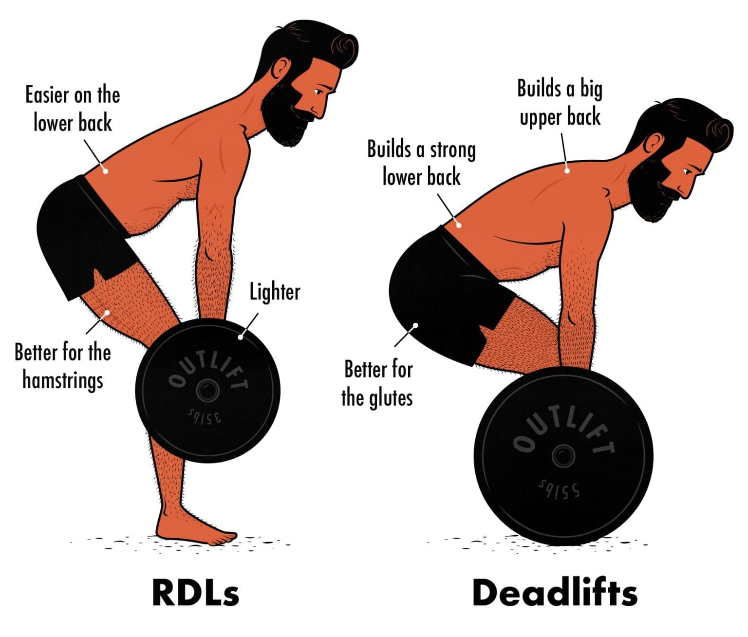 Fact Check: Are rdls good for back?