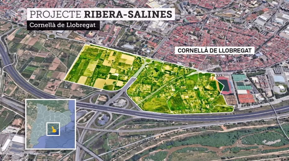 Fact Check: Are ribera salines?