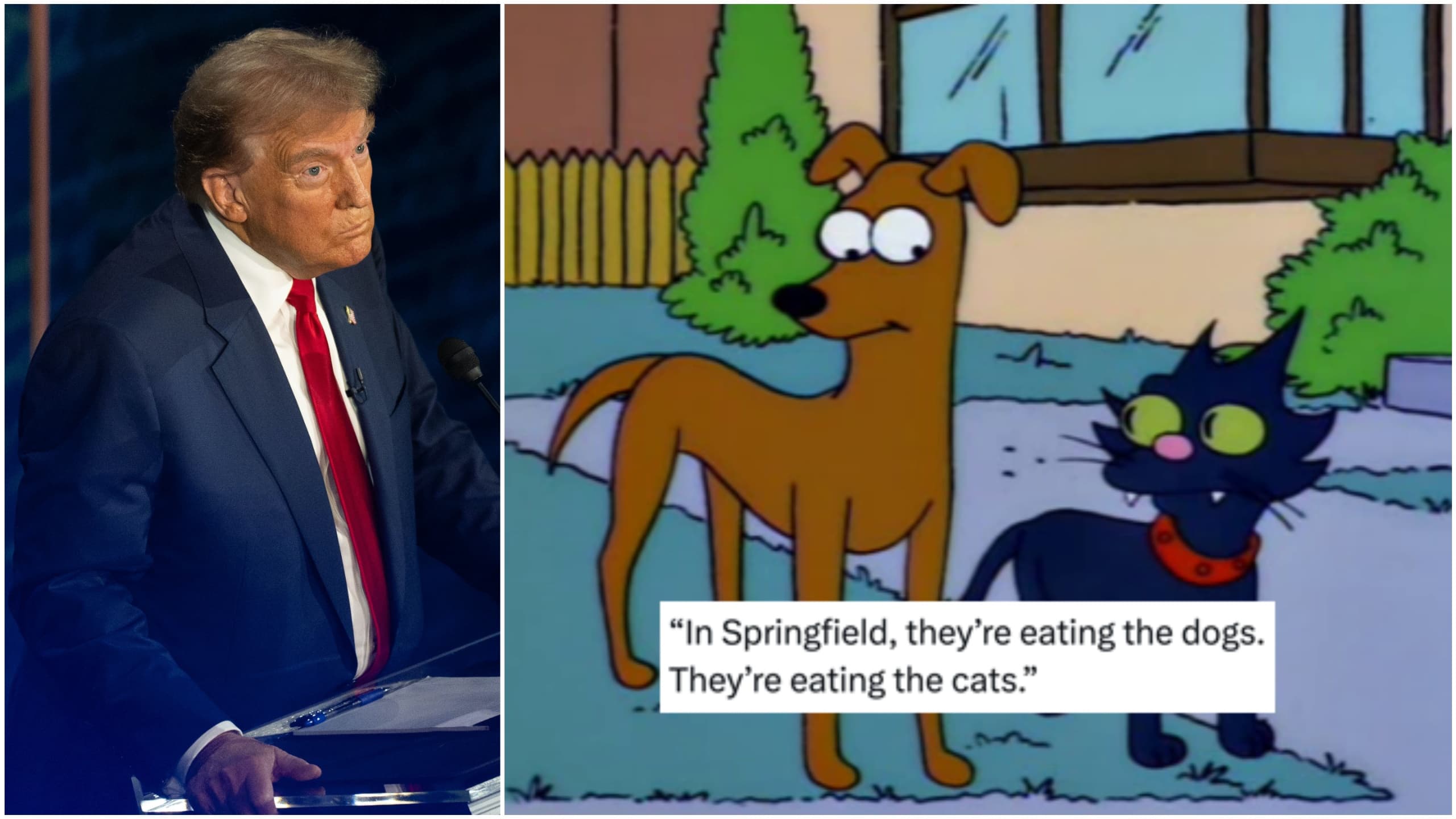 Fact Check: in the usa the immigrants are eating the dogs and the cats