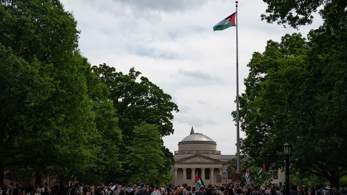 Fact Check: Palestinians removed an american flag in washington DC and replaced it with a palestinian flag