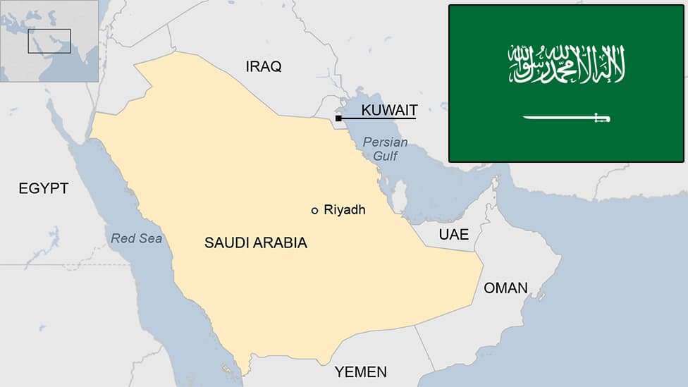 Fact Check: Are the UAE and Saudi Arabia the same?