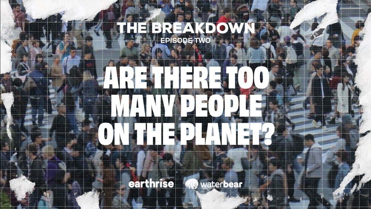 Fact Check: Are there many people?
