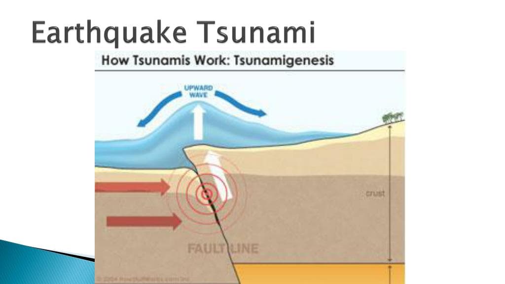 Fact Check: Are tsunamis caused by earthquakes?