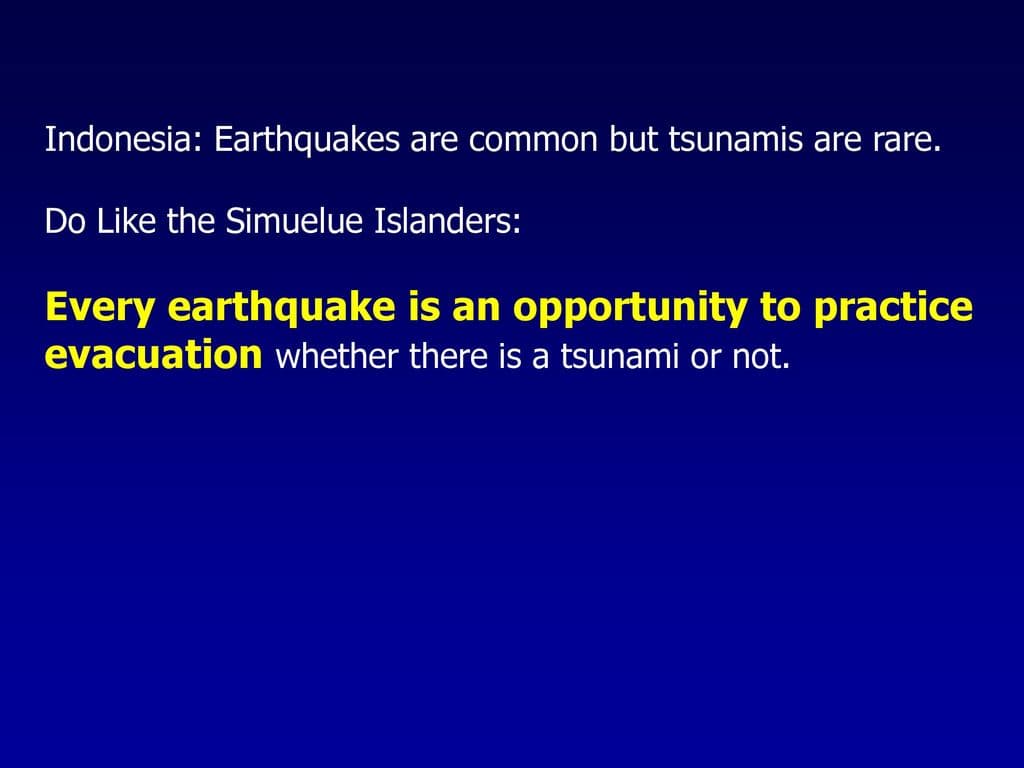 Fact Check: Are tsunamis common?