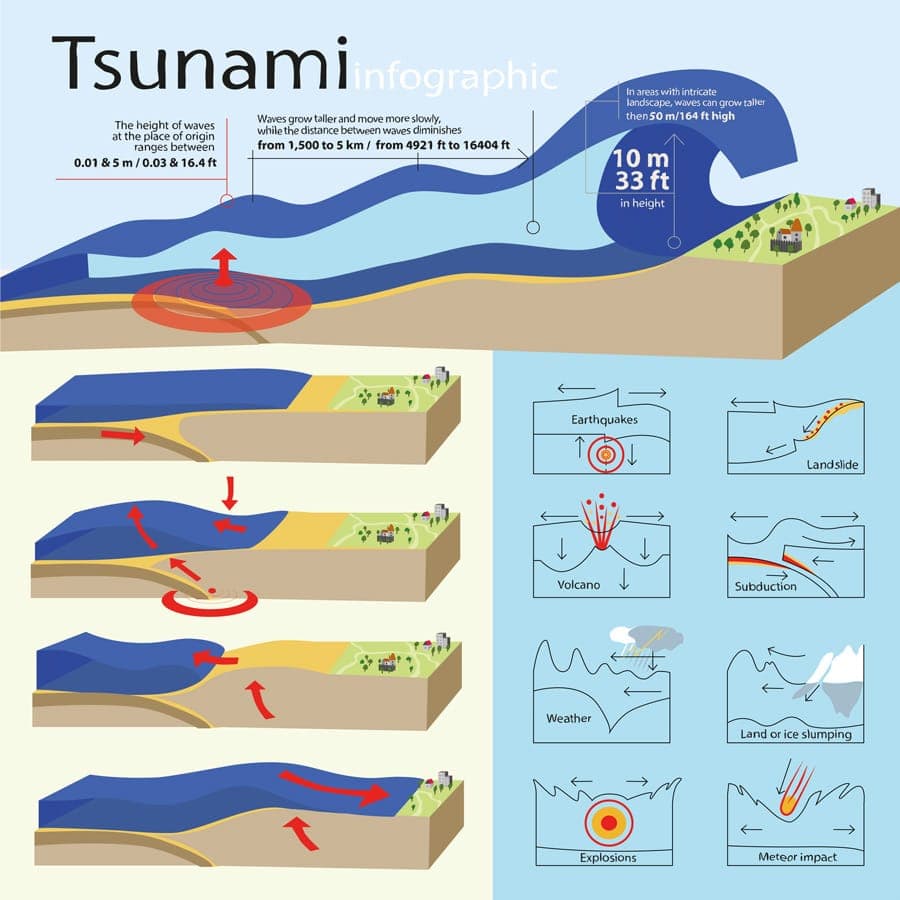 Fact Check: Are tsunamis predictable?