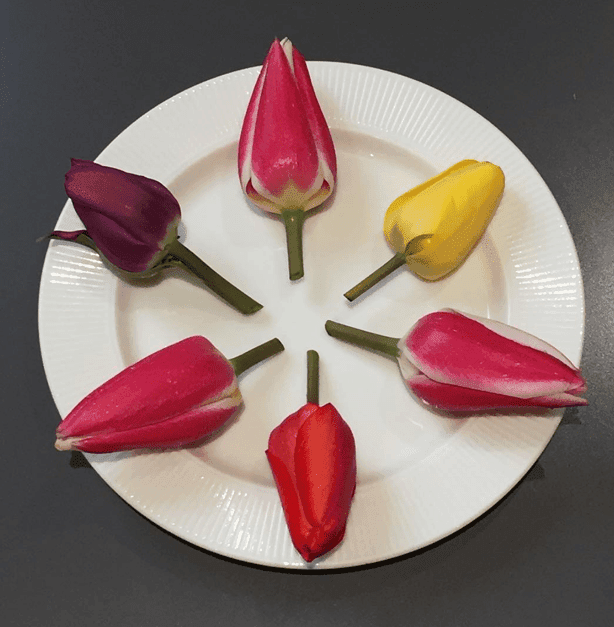 Fact Check: Are tulips edible?
