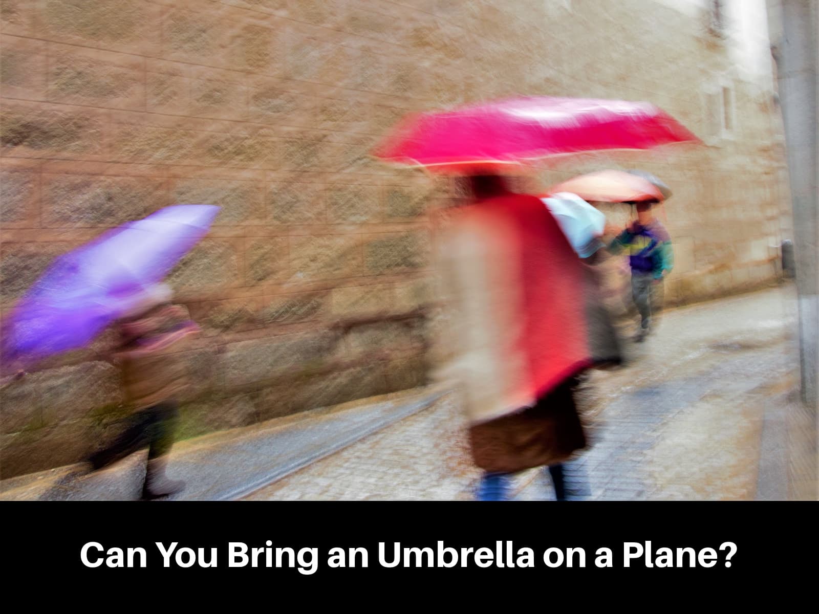 Fact Check: Are umbrellas allowed on planes?