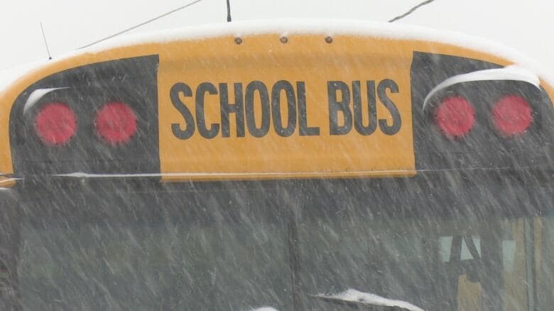 Fact Check: Are yrdsb buses cancelled today?
